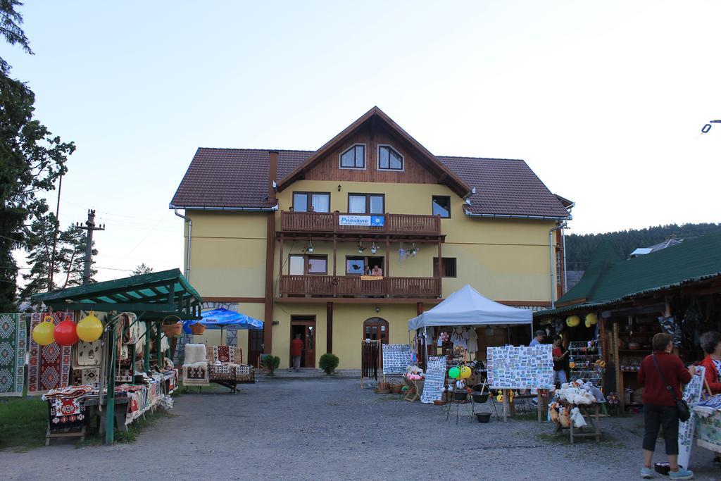 Pensiunea Floare De Colt Borsec Exterior foto