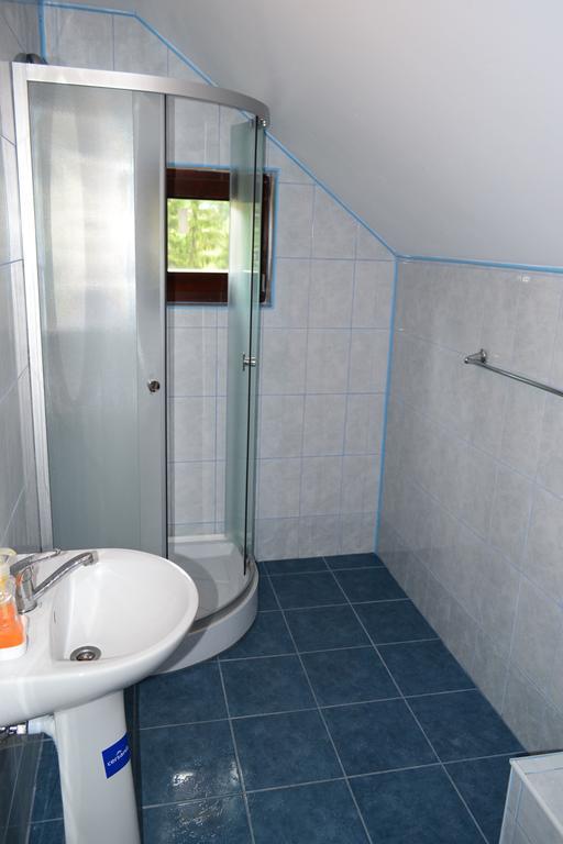 Pensiunea Floare De Colt Borsec Exterior foto