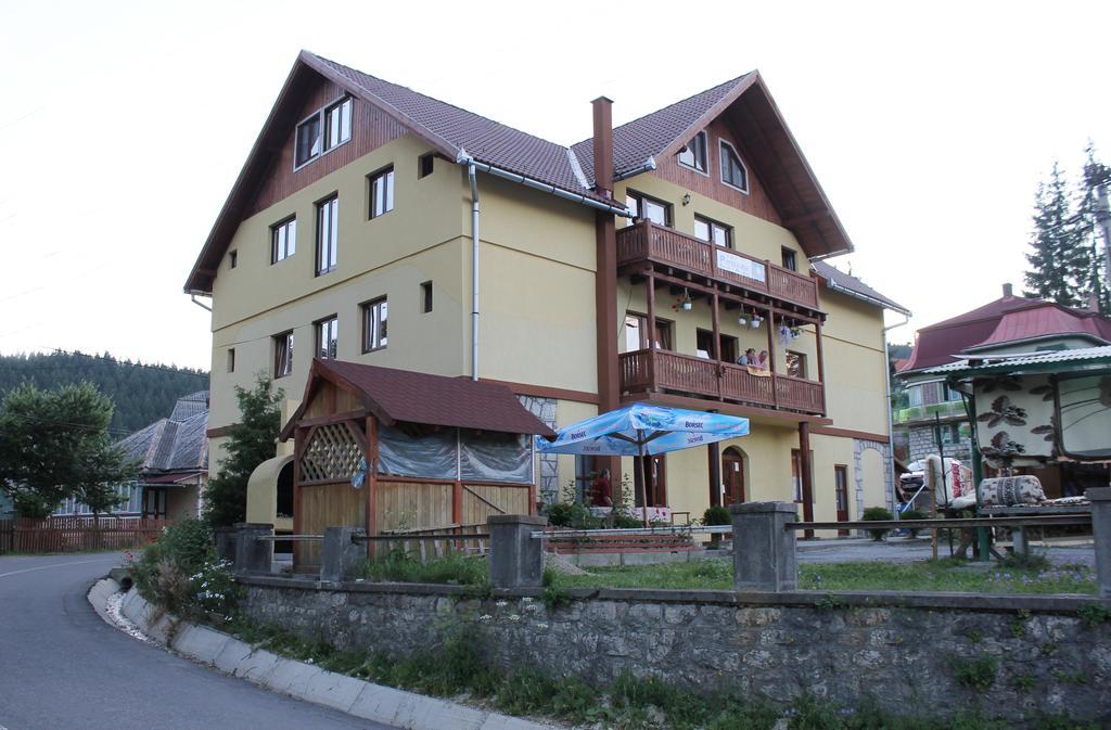 Pensiunea Floare De Colt Borsec Exterior foto